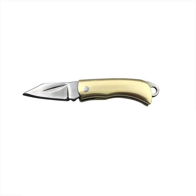 Stainless Steel Unboxing Mini Knife Sharp Portable Folding Small Blade Portable Keychain Small Hanging Outdoor Camping Knife